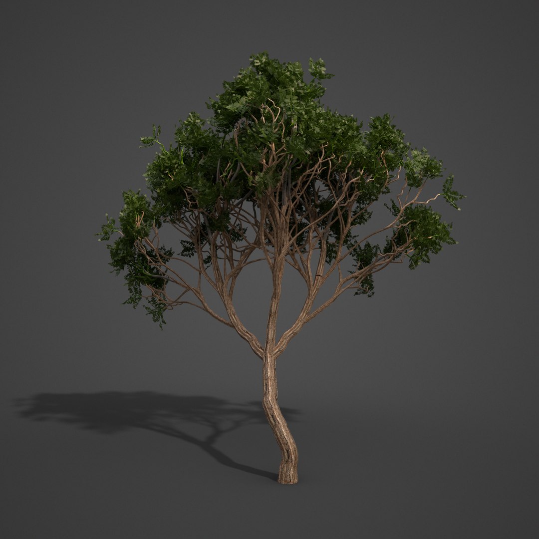 3D Tree Nature - TurboSquid 1677010