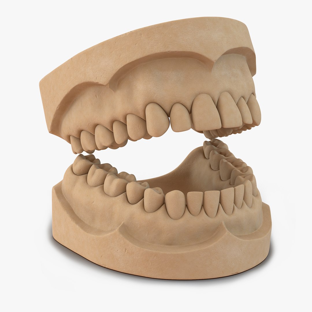 Dental Mold 3D model preview