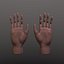 Hands