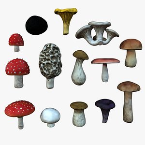 Mushrooms collection model