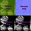 Monstera Tipo 1 Low Poly