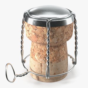 3D Wine Cork Upright with Wire Muzzle model