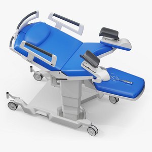 Bed for Birth with Obstetrical Forceps Rigged for Maya