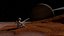 Saturn Planet Scenario