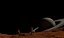 Saturn Planet Scenario