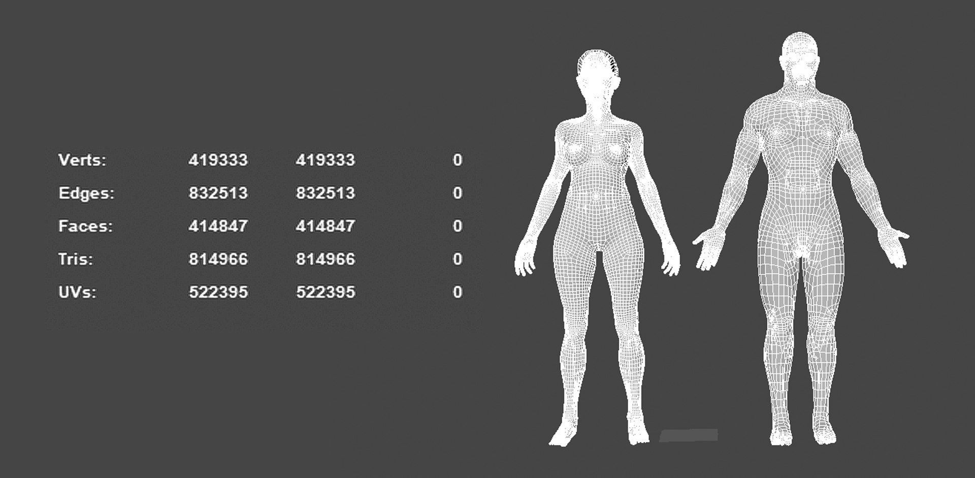 3D Full Male And Female Human Anatomy 3D Model Realistic Anatomical ...