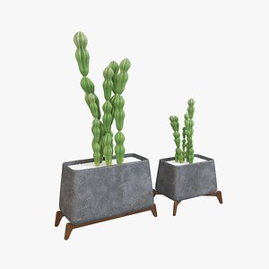 Cactus Jug