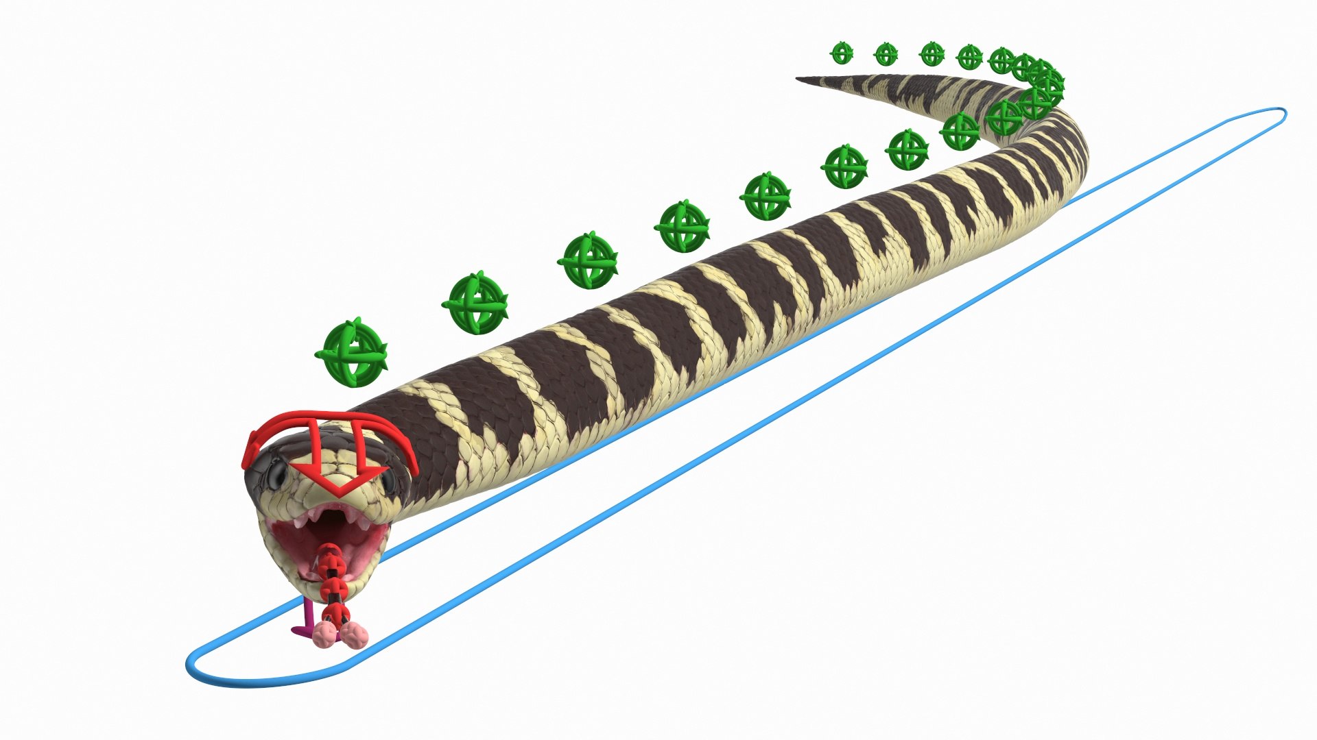 California Kingsnake Rigged 3D model preview
