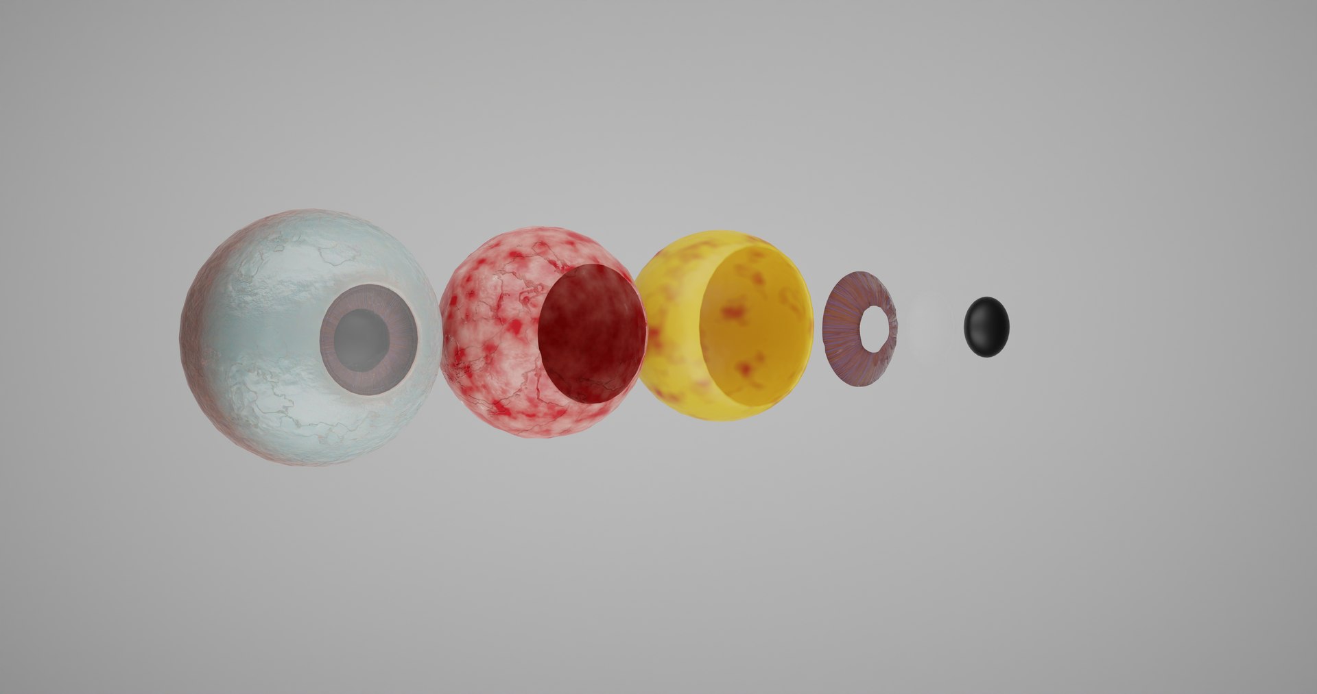 human eye model https://p.turbosquid.com/ts-thumb/1P/YH3hTe/Xc/z0001.png0003/png/1692318614/1920x1080/fit_q87/ee02e2b73ed4c099666e8dc7fc80e576242489aa/z0001.png0003.jpg