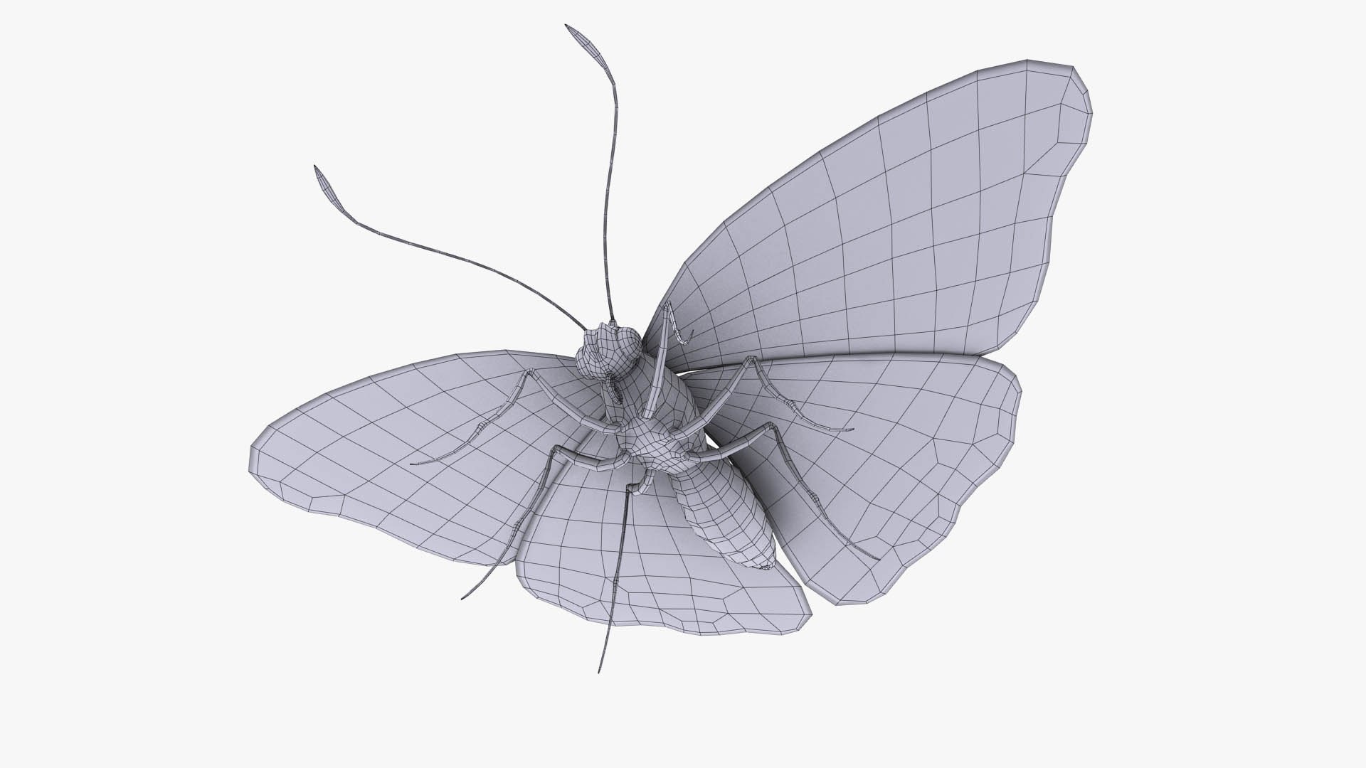 3D Butterfly Bugs Insect - TurboSquid 1680383