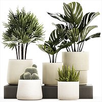 Set Of Potted Plants Monstera Cactus Palm 1236