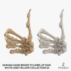Human Hand Bones Thumbs Up Sign White and Yellow Collection 01 - 2 models 3D model