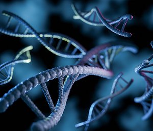 molecules DNA