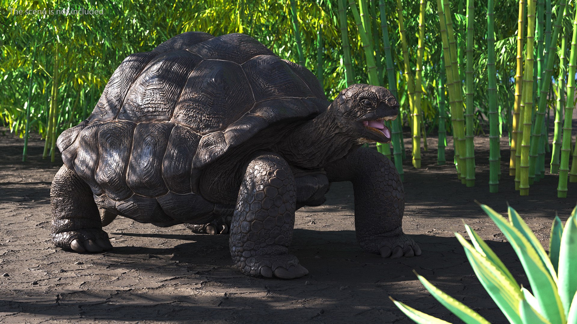 Galapagos Giant Tortoise 3D https://p.turbosquid.com/ts-thumb/1Q/GPlBZk/8T/galapagosgianttortoisec4dmodel002/jpg/1691595753/1920x1080/fit_q87/c9747ee5b3efb76bc7bc3d5b519f72c4f566d7f7/galapagosgianttortoisec4dmodel002.jpg