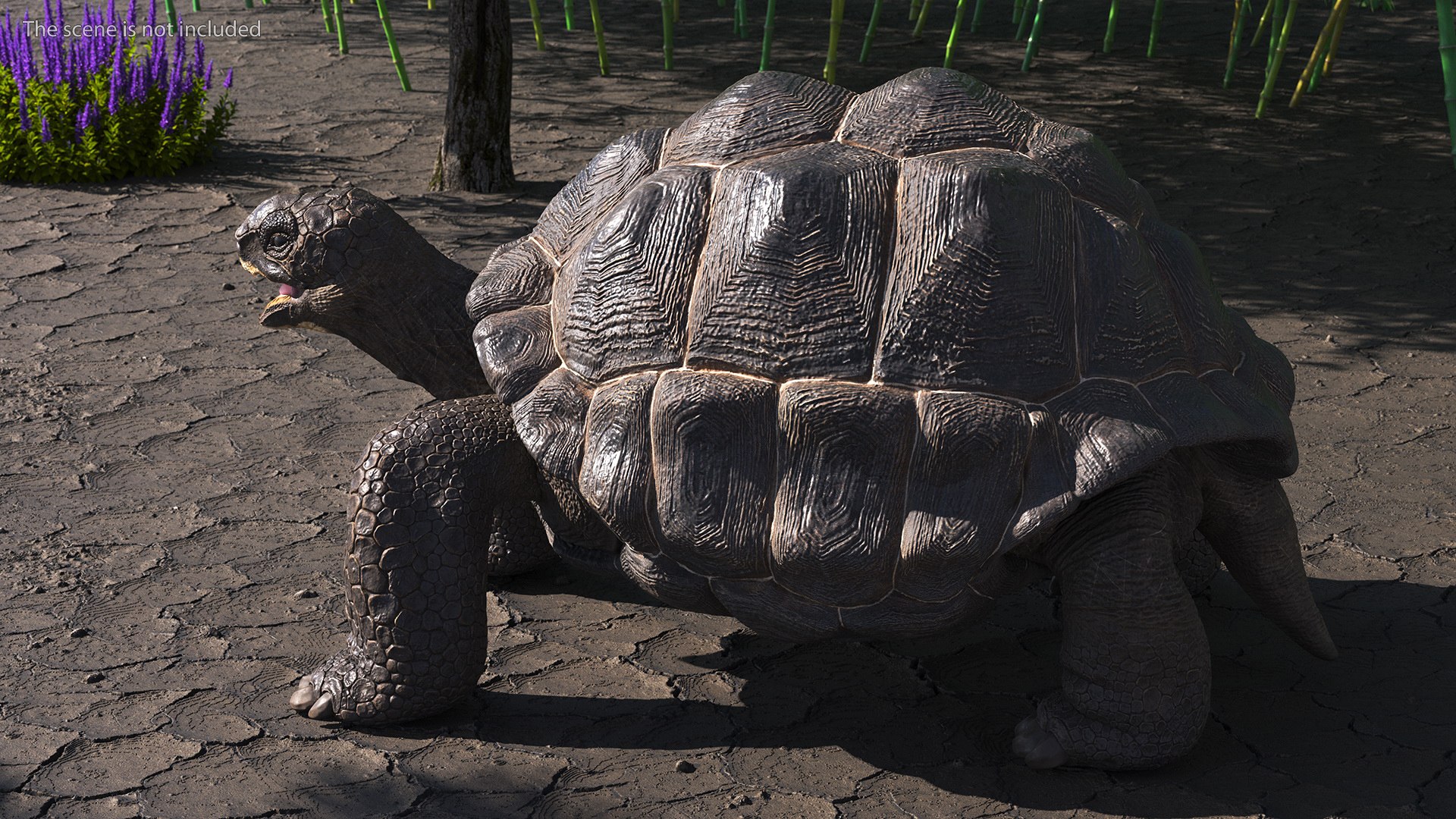 Galapagos Giant Tortoise 3D https://p.turbosquid.com/ts-thumb/1Q/GPlBZk/8Y/galapagosgianttortoisec4dmodel004/jpg/1691595761/1920x1080/fit_q87/9f726400450a73e48c5c3e32960df32b2f26cea7/galapagosgianttortoisec4dmodel004.jpg