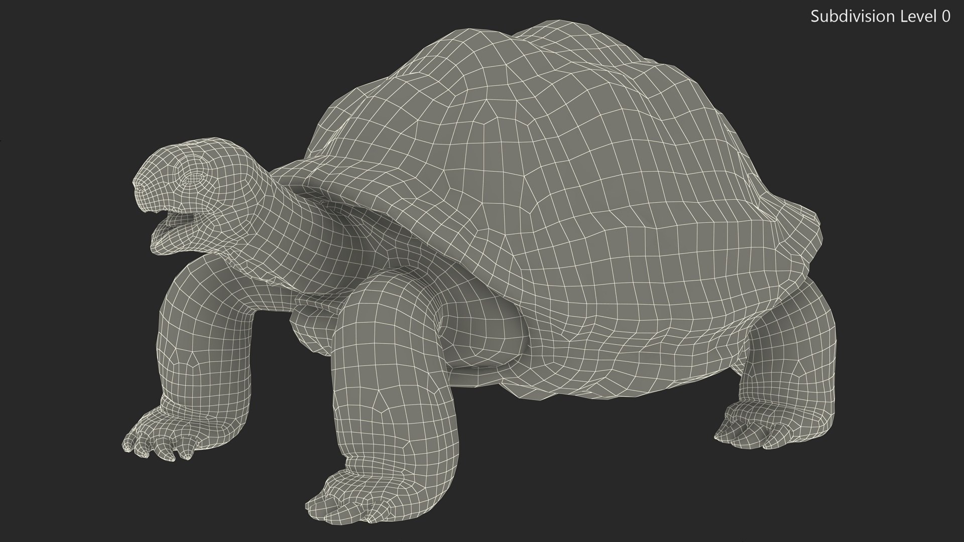 Galapagos Giant Tortoise 3D https://p.turbosquid.com/ts-thumb/1Q/GPlBZk/I0/galapagosgianttortoisec4dmodel017/jpg/1691595808/1920x1080/fit_q87/9fdfc0b98ee80028d4e019a8476080f29e9f2fc1/galapagosgianttortoisec4dmodel017.jpg