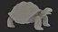 Galapagos Giant Tortoise