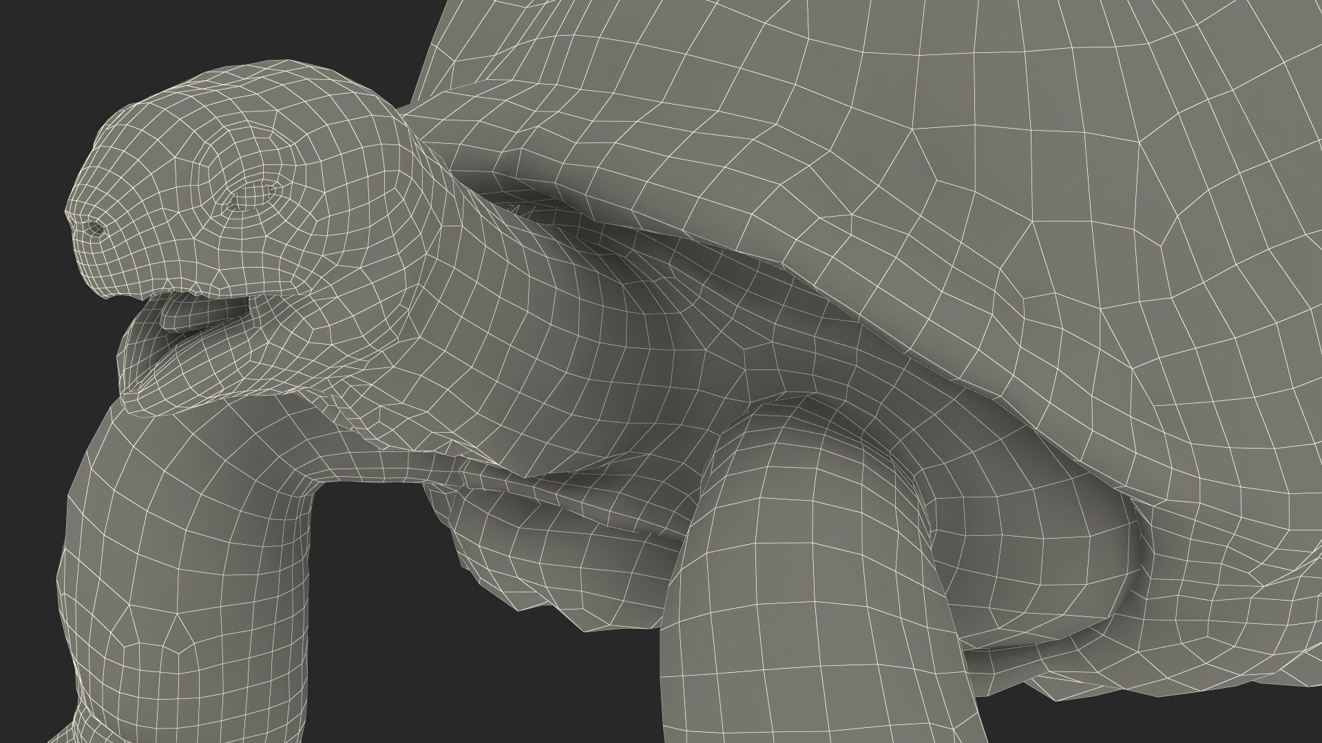 Galapagos Giant Tortoise 3D https://p.turbosquid.com/ts-thumb/1Q/GPlBZk/Lp/galapagosgianttortoisec4dmodel029/jpg/1691595857/1920x1080/fit_q87/3e1ace0ea074dd31ff2964f33f4d411e1693496d/galapagosgianttortoisec4dmodel029.jpg