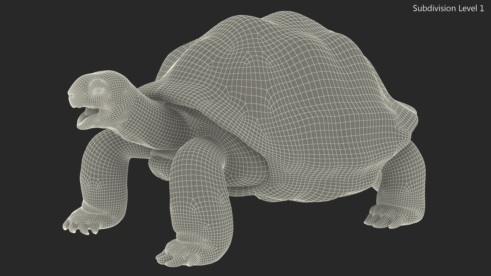 Galapagos Giant Tortoise 3D https://p.turbosquid.com/ts-thumb/1Q/GPlBZk/df/galapagosgianttortoisec4dmodel018/jpg/1691595811/1920x1080/fit_q87/f0843d4c9517ed4ad5567594a4767931db964606/galapagosgianttortoisec4dmodel018.jpg
