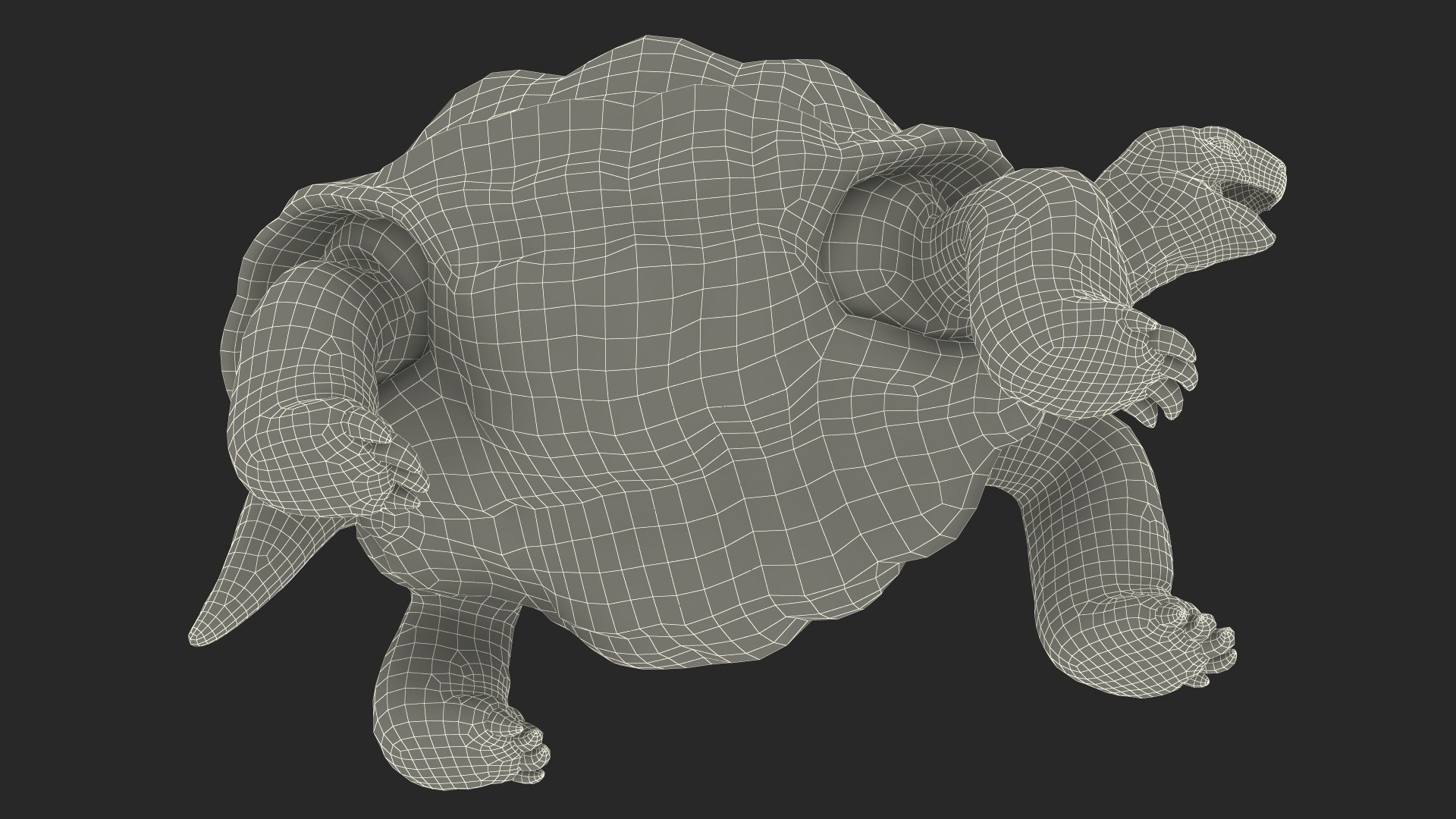 Galapagos Giant Tortoise 3D https://p.turbosquid.com/ts-thumb/1Q/GPlBZk/eC/galapagosgianttortoisec4dmodel028/jpg/1691595854/1920x1080/fit_q87/21776ce740b7fec9f2c0de3426c2667980812302/galapagosgianttortoisec4dmodel028.jpg