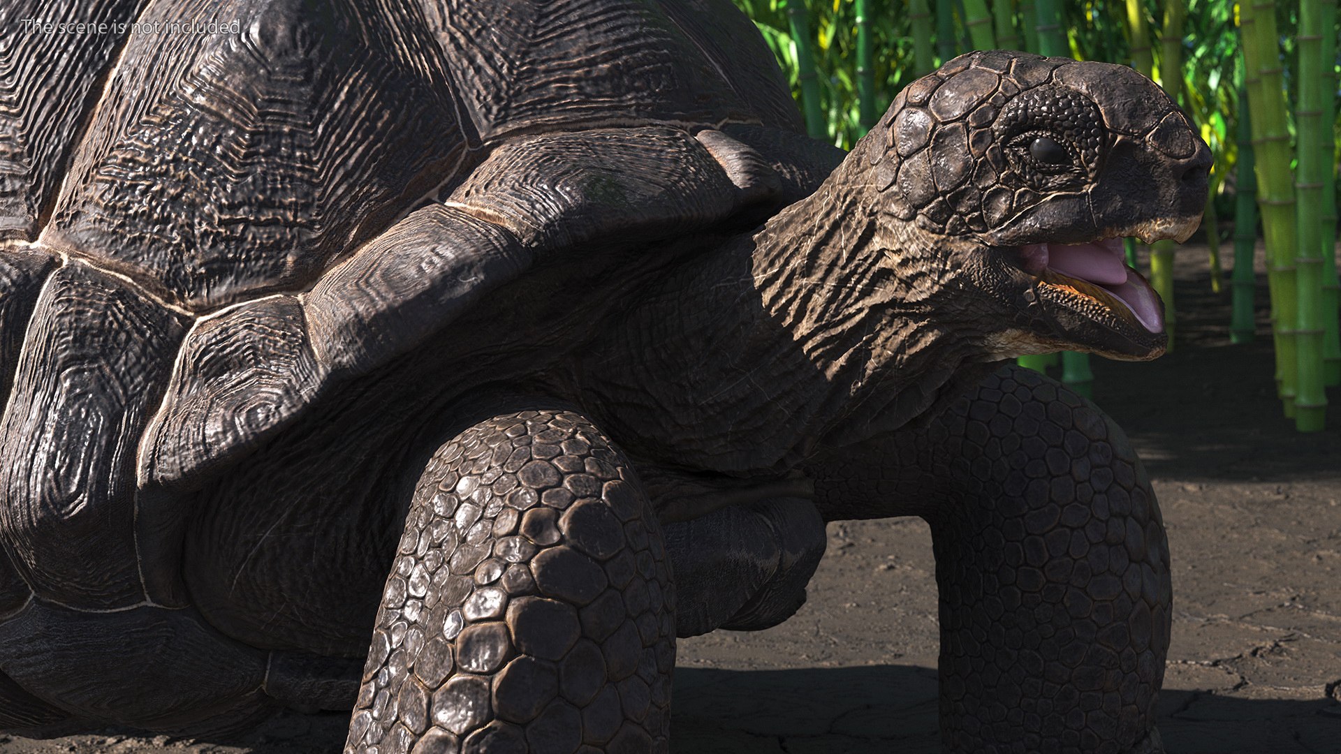 Galapagos Giant Tortoise 3D https://p.turbosquid.com/ts-thumb/1Q/GPlBZk/kL/galapagosgianttortoisec4dmodel005/jpg/1691595765/1920x1080/fit_q87/932f49d821341b13a6b549ca91c86dd7e8bfd898/galapagosgianttortoisec4dmodel005.jpg