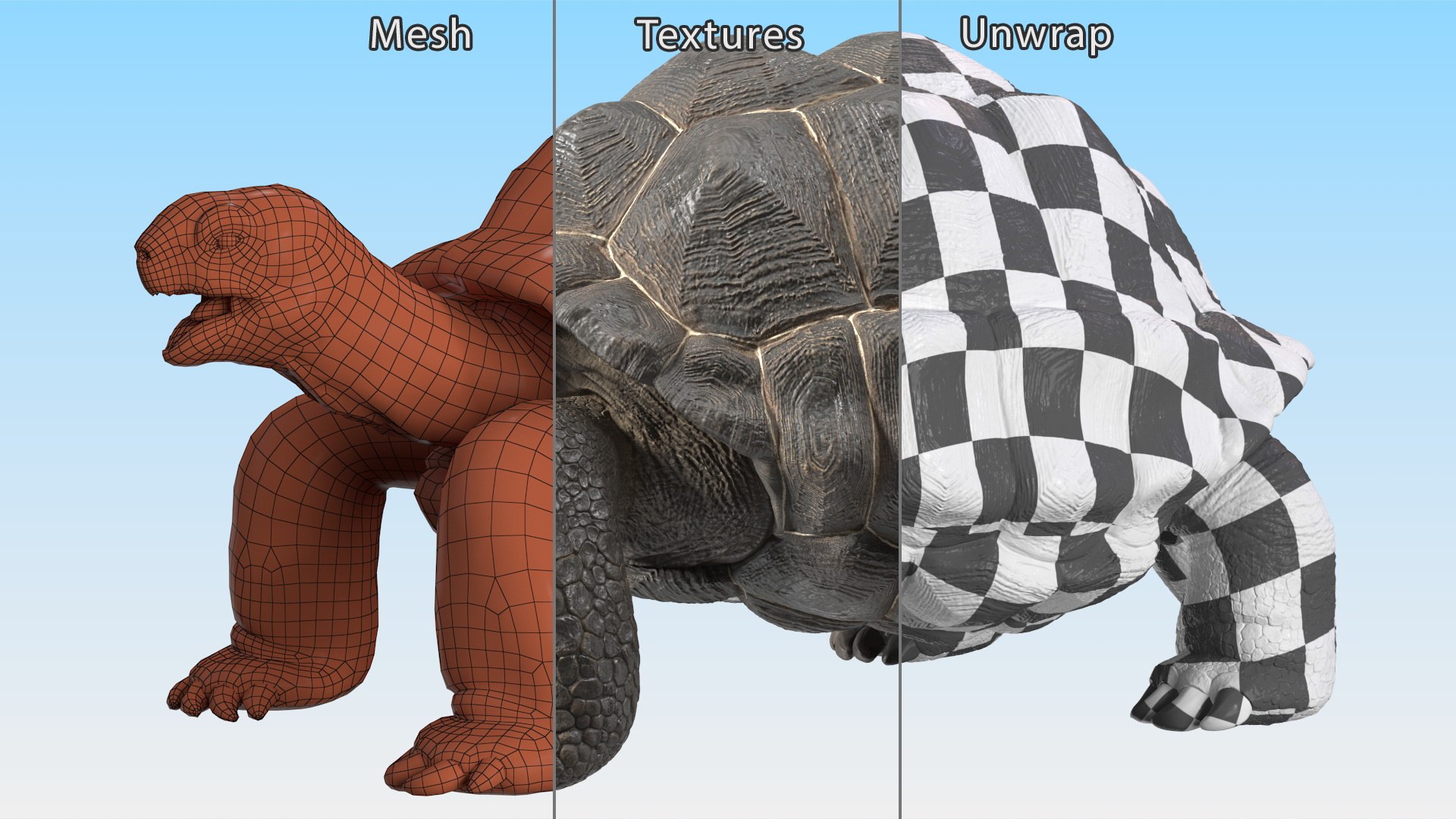 Galapagos Giant Tortoise 3D https://p.turbosquid.com/ts-thumb/1Q/GPlBZk/ol/galapagosgianttortoisec4dmodel016/jpg/1691595804/1920x1080/fit_q87/2f2965d6956ce5468bf3dcaba9c8008d665787c4/galapagosgianttortoisec4dmodel016.jpg