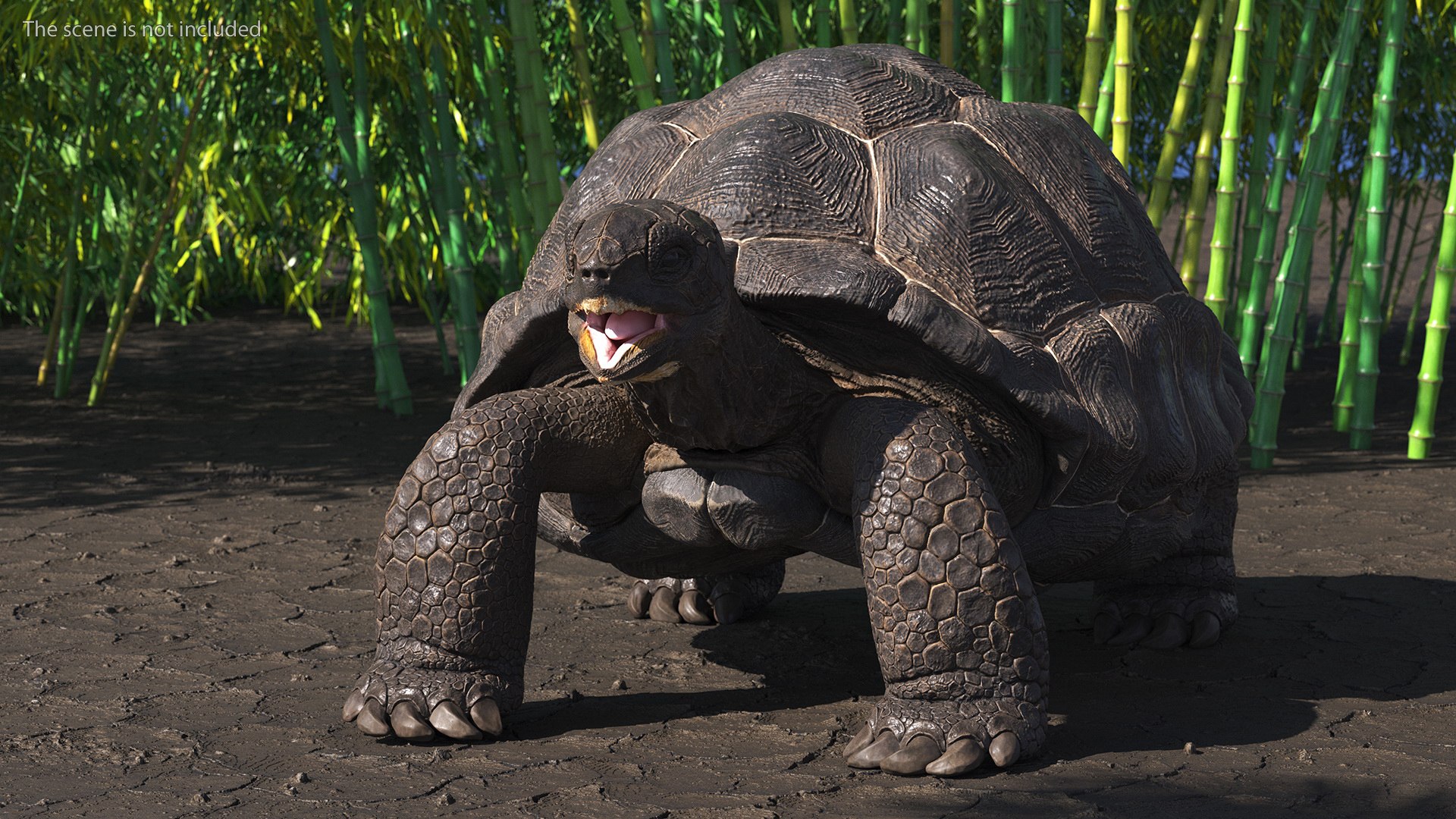 Galapagos Giant Tortoise 3D https://p.turbosquid.com/ts-thumb/1Q/GPlBZk/rn/galapagosgianttortoisec4dmodel003/jpg/1691595757/1920x1080/fit_q87/d3643fecb8d361f5897d7a7f928e02aab83d9419/galapagosgianttortoisec4dmodel003.jpg