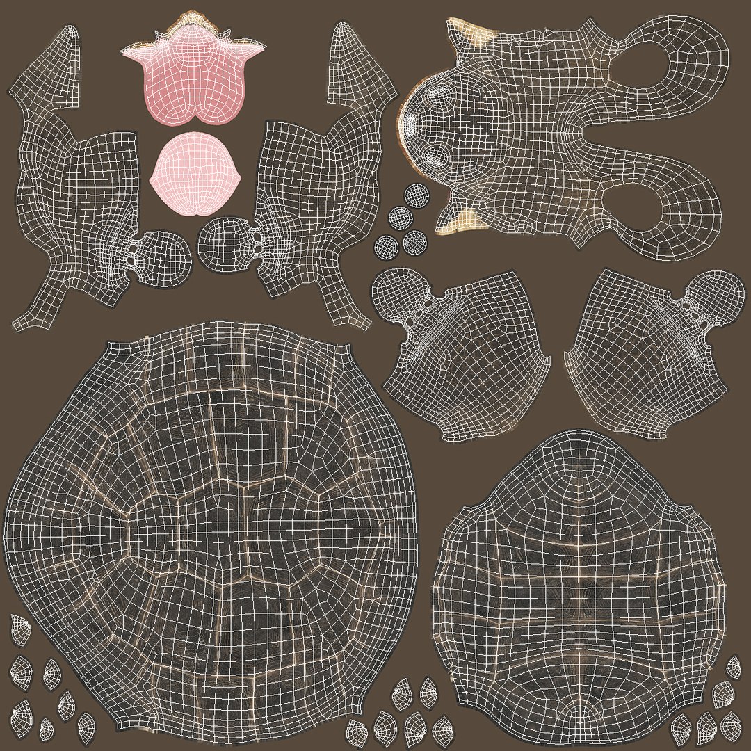 Galapagos Giant Tortoise 3D https://p.turbosquid.com/ts-thumb/1Q/GPlBZk/vh/galapagosgianttortoisec4dmodel019/jpg/1691595815/1920x1080/fit_q87/74530b189c217032f1f7ae56365f4e895887ffa4/galapagosgianttortoisec4dmodel019.jpg