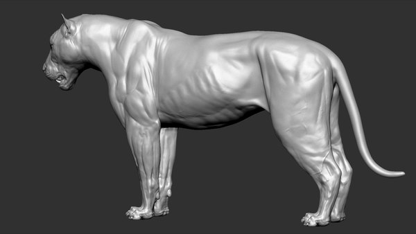 3D tiger vfx ultra zbrush - TurboSquid 1531903