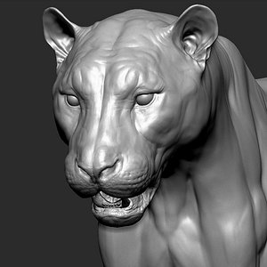 Tiger VFX ULTRA Cinematic Realistic Zbrush Sculpt 1