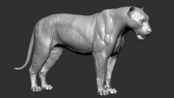 3D tiger vfx ultra zbrush - TurboSquid 1531903