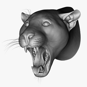 3D model Jaguar Head