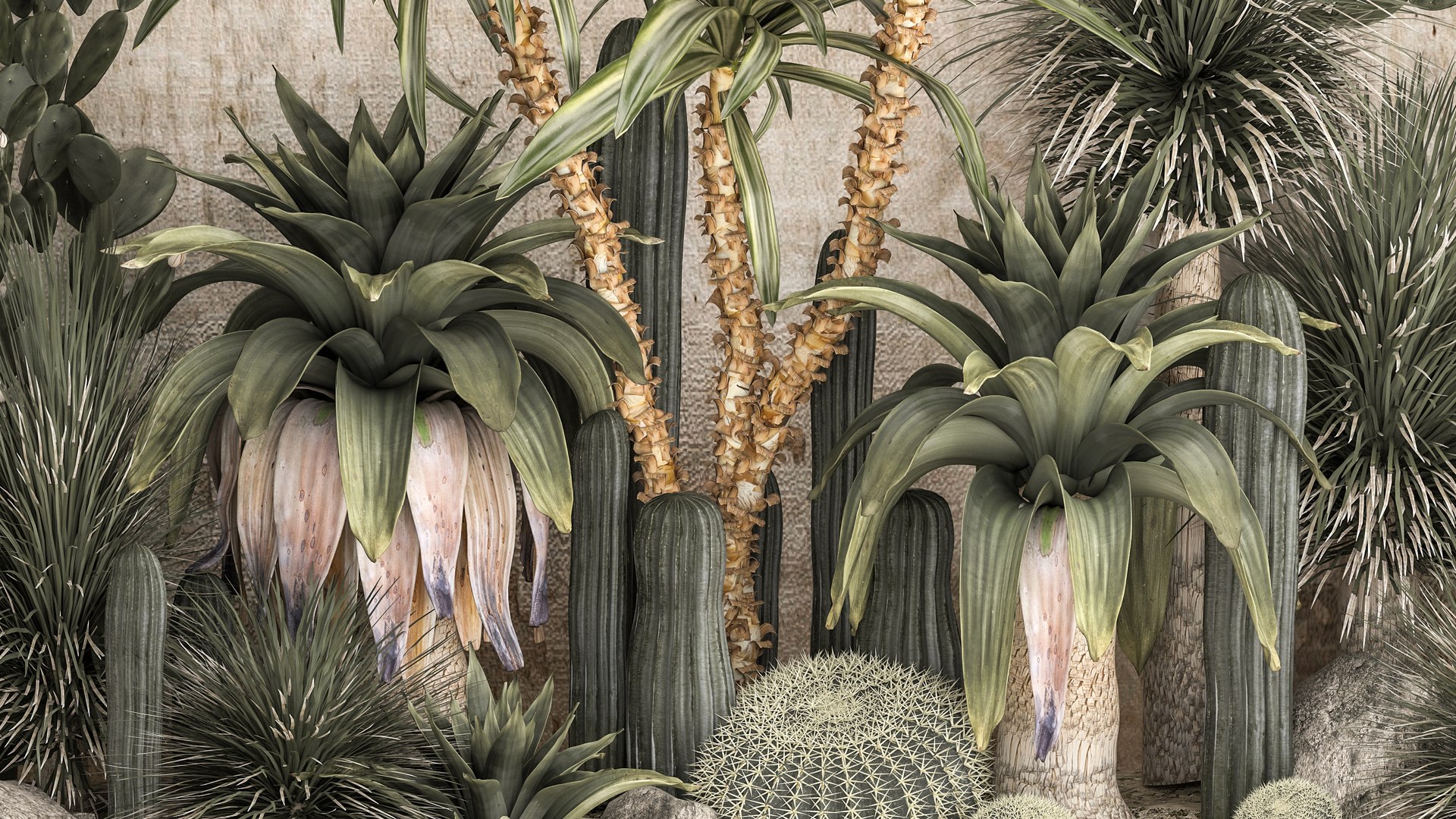 Collection Of Tropical Desert Plants 1108A 3D Model - TurboSquid 1855629