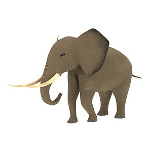 Elephant 3D Model