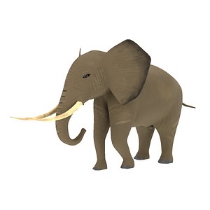 Elephant 3D Model