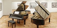 Grand Piano with rig and full interior