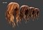Real-time Hair model Female long 1