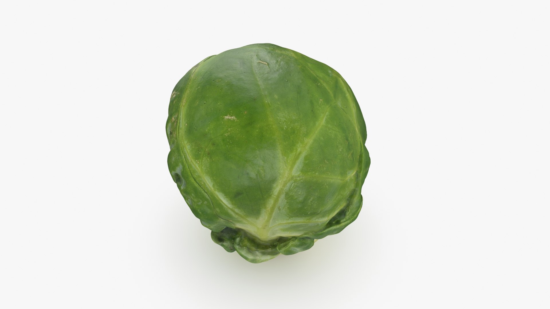 3D Brussels Sprout 04 model https://p.turbosquid.com/ts-thumb/1R/7bZVds/6d/brusselssprout04_b0002/jpg/1734591745/1920x1080/fit_q87/02110ac63e605bfc97a7c6d1db54b774b1185613/brusselssprout04_b0002.jpg