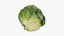 Rosenkohl 04