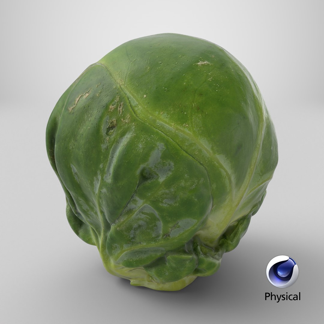 3D Brussels Sprout 04 model https://p.turbosquid.com/ts-thumb/1R/7bZVds/7t/stemcell_cinema_4d_physical_render/png/1735579432/1920x1080/fit_q87/e407458270b840c4a75dd054b647f0fc4362ae80/stemcell_cinema_4d_physical_render.jpg
