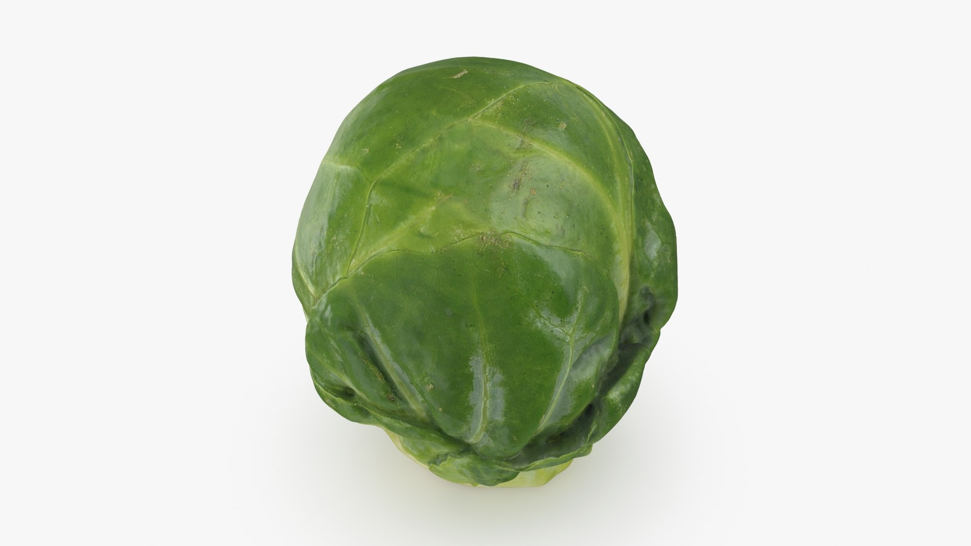 3D Brussels Sprout 04 model https://p.turbosquid.com/ts-thumb/1R/7bZVds/GB/brusselssprout04_b0008/jpg/1734591747/1920x1080/fit_q87/09614cdc5652f0c77b0945d6475edbf766582eeb/brusselssprout04_b0008.jpg