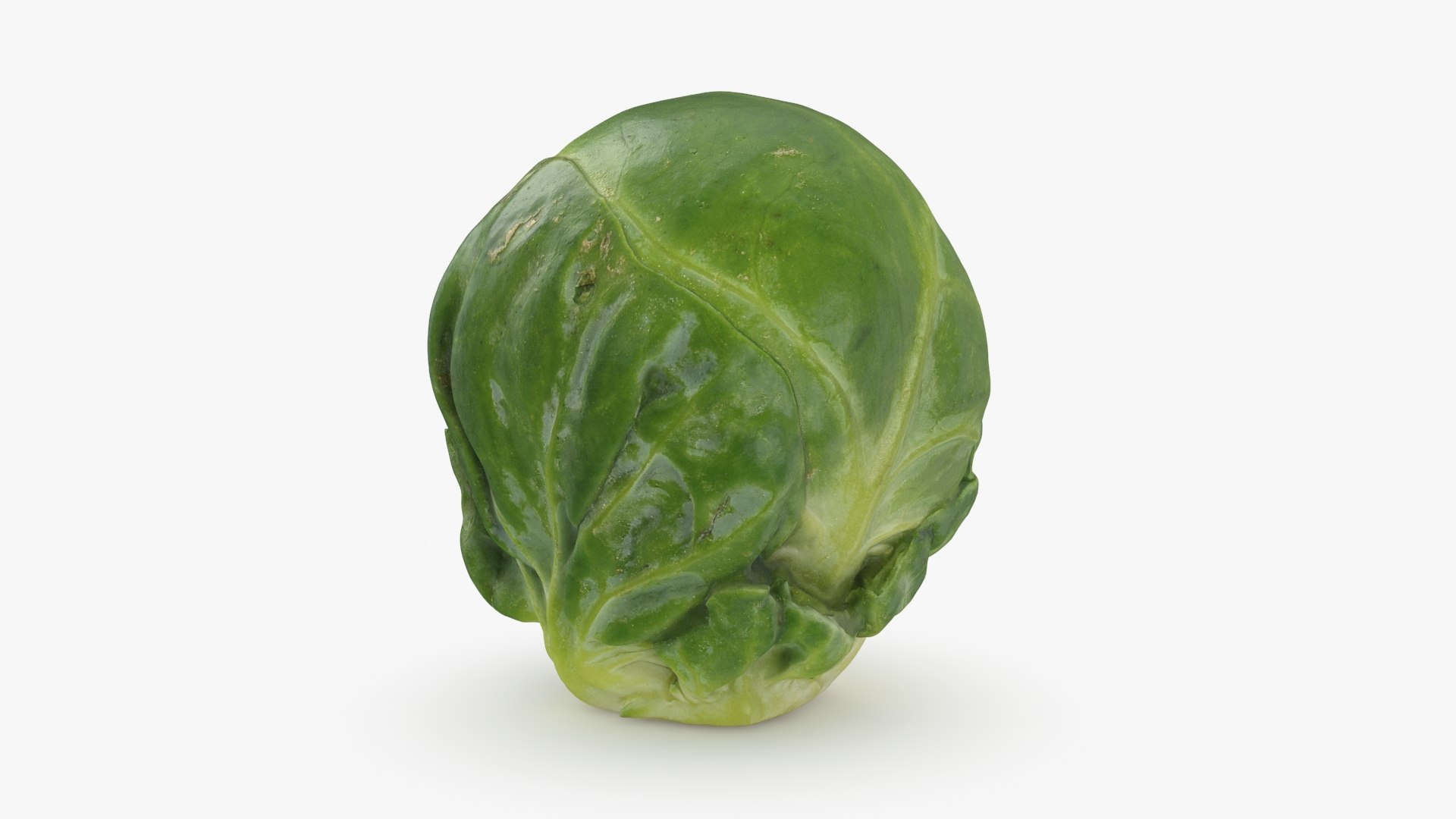 3D Brussels Sprout 04 model https://p.turbosquid.com/ts-thumb/1R/7bZVds/JD/brusselssprout04_b0004/jpg/1734591747/1920x1080/fit_q87/1a5bb2f15e1ba6d1e10f878e73e69ce7d8bc164d/brusselssprout04_b0004.jpg