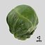 Rosenkohl 04