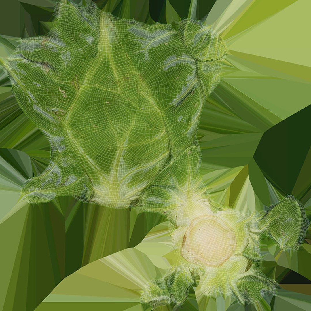 3D Brussels Sprout 04 model https://p.turbosquid.com/ts-thumb/1R/7bZVds/tB/brusselssprout04_d0004/jpg/1734591753/1920x1080/fit_q87/cfd035ebfde75c05033eedd96e6f9a53df22fb4f/brusselssprout04_d0004.jpg