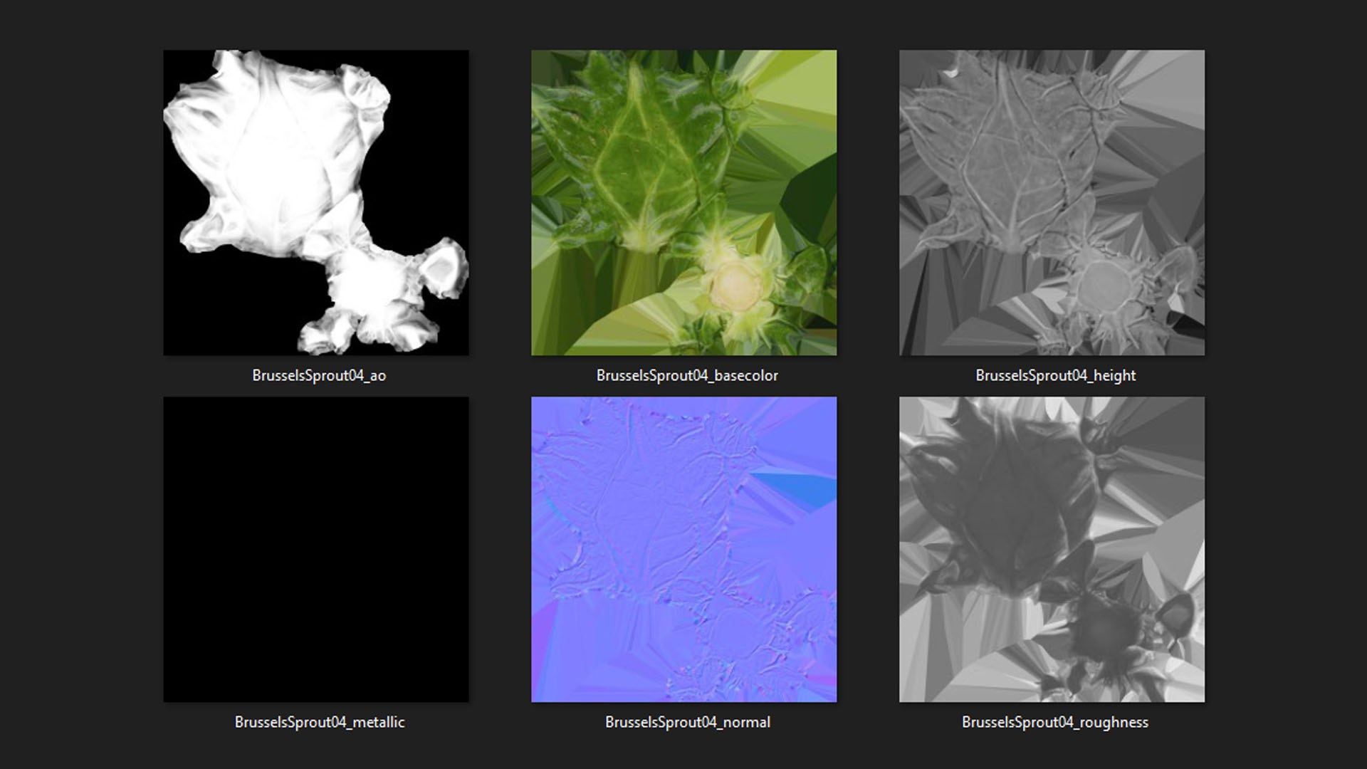 3D Brussels Sprout 04 model https://p.turbosquid.com/ts-thumb/1R/7bZVds/w1/brusselssprout04_d0005/jpg/1734591755/1920x1080/fit_q87/03005c29b38fe511189b95d8593dbddf8a267971/brusselssprout04_d0005.jpg