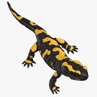 Salamander Rigged