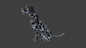 3D Dalmatian Model with Animations 3D model