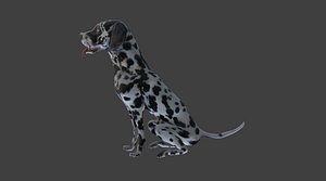 3D Dalmatian Model with Animations