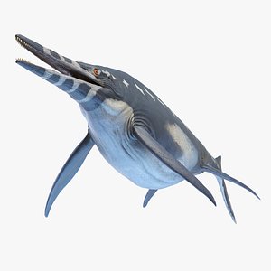 3D model Shonisaurus Static