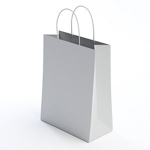 Paper Bag 3D model